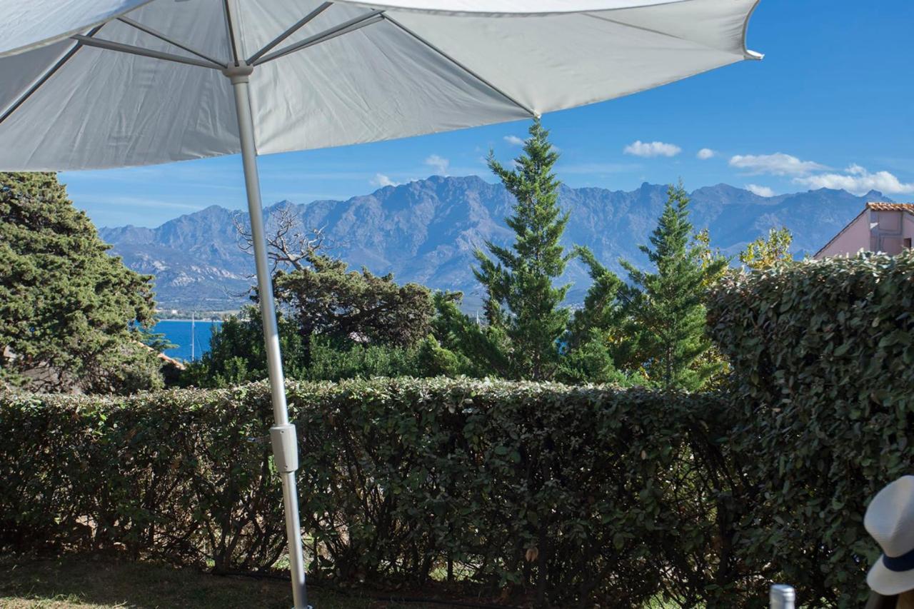 Mare location avec jardin vue mer et montagne plage et port à 2 pas Calvi  Exterior foto